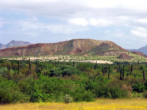 Dunes at El Gallito