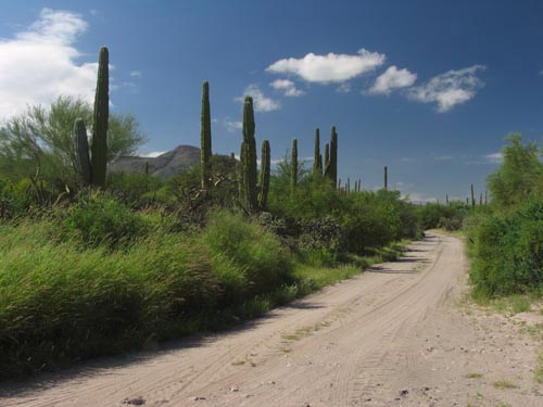 Punta Arena area