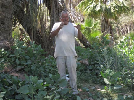 Local man talking to us about medicinal uses of Yerba Mansa