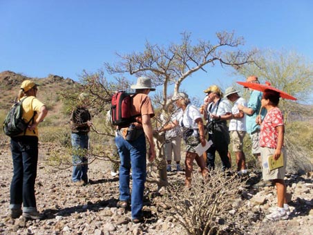 Plant walk near Playa Escondida