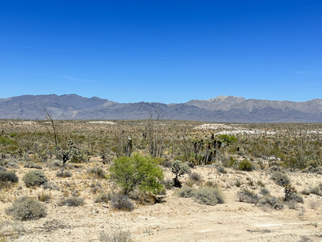 Desert scene Central Baja California desert