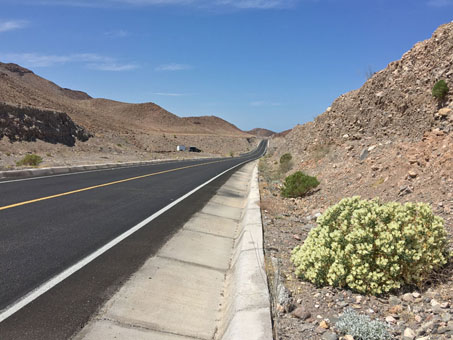 Flowers on Desert Rock-Nettle along side of highway