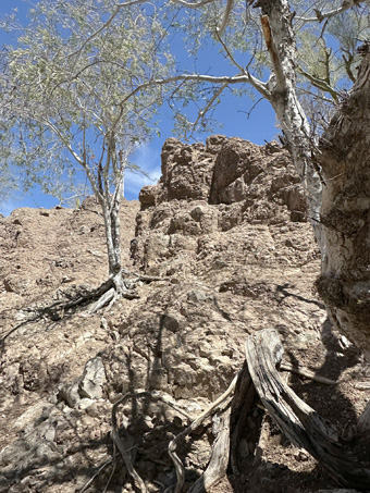 The creek runs through a ravine with steep, rocky walls