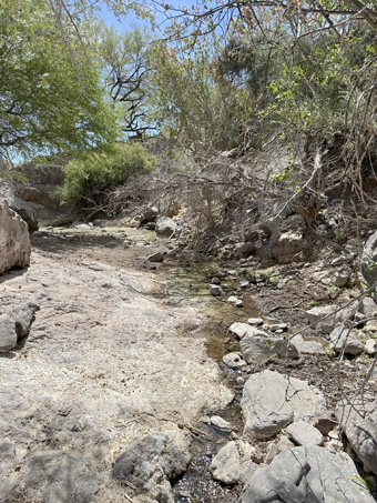 view down the creek bed