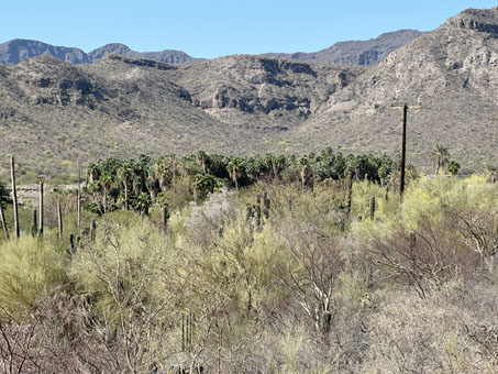 View of valley from slope above Arroyo San Jose de Magdalena