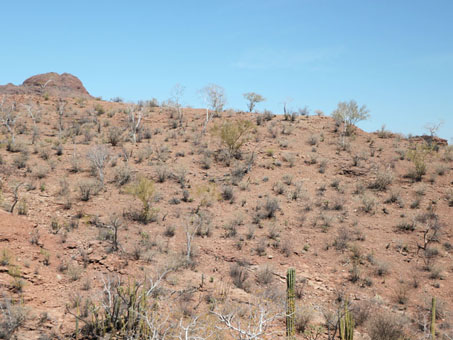 Hillsides near San Patricio