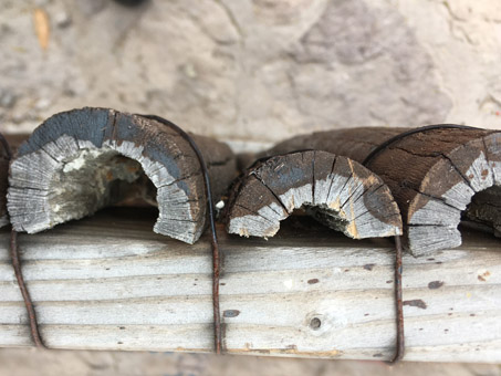 Closeup of Fence made of cactus stems